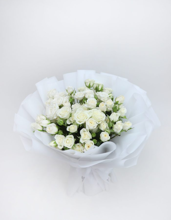عطاء الرد606